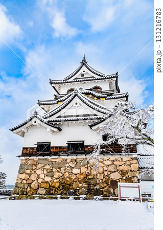 滋賀 彦根城 雪化粧した天守 滋賀 彦根城 雪化粧した天守 131216783