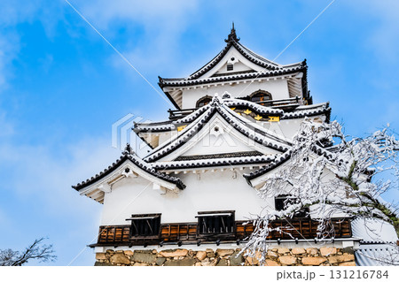 滋賀 彦根城 雪化粧した天守 滋賀 彦根城 雪化粧した天守 131216784