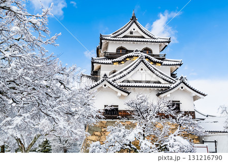 滋賀 彦根城 雪化粧した天守 滋賀 彦根城 雪化粧した天守 131216790