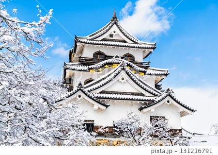 滋賀 彦根城　雪化粧した天守 131216791