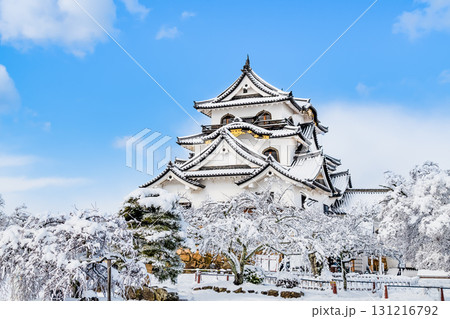 滋賀 彦根城　雪化粧した天守 131216792
