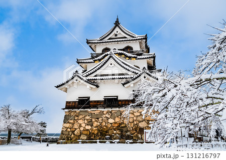 滋賀 彦根城　雪化粧した天守 131216797