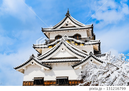 滋賀 彦根城　雪化粧した天守 131216799