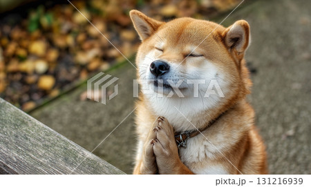 お祈りをする柴犬 画像生成AI お祈りをする柴犬 画像生成AI 131216939