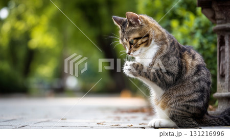 お祈りをする子猫　画像生成AI 131216996
