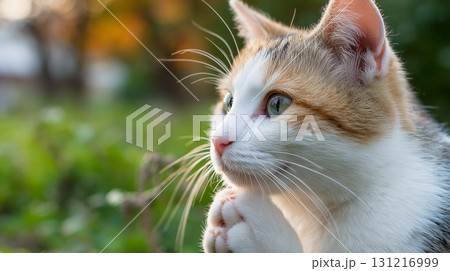 お祈りをする子猫　画像生成AI 131216999