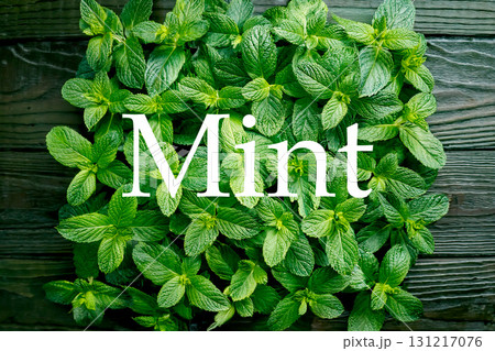 ミントと英語のスペル 131217076