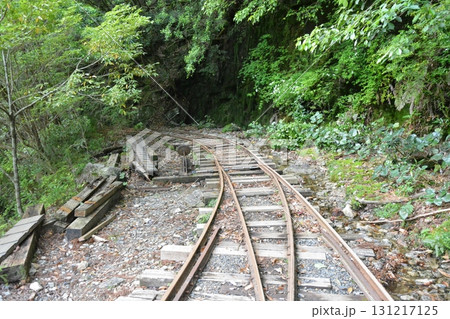 世界遺産 屋久島 トレッキングコースの大自然 世界遺産 屋久島 トレッキングコースの大自然 131217125