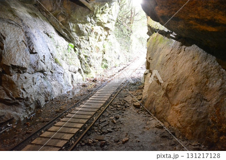 世界遺産 屋久島 トレッキングコースの大自然 世界遺産 屋久島 トレッキングコースの大自然 131217128