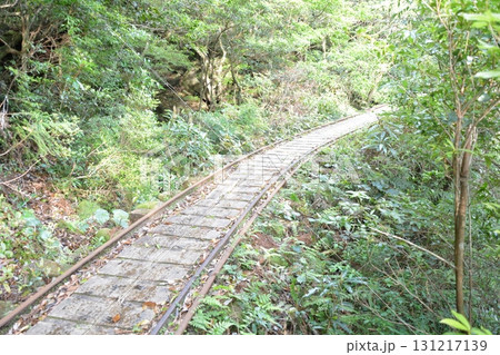 世界遺産　屋久島　トレッキングコースの大自然 131217139