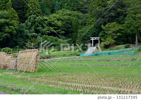 初秋の農村風景(過疎地 限界集落) 初秋の農村風景(過疎地 限界集落) 131217395