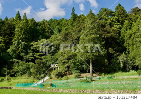 初秋の農村風景（過疎地　限界集落） 131217404