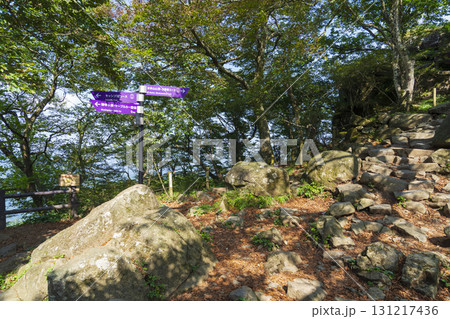 筑波山(女体山)の登山道 筑波山(女体山)の登山道 131217436