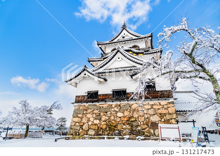 滋賀 彦根城 雪化粧した天守 滋賀 彦根城 雪化粧した天守 131217473