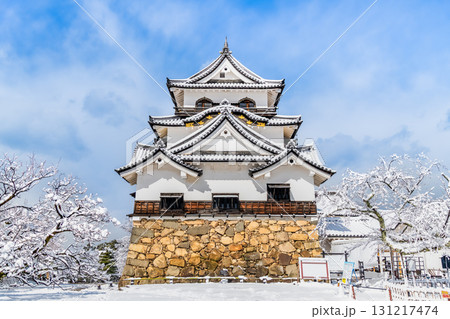 滋賀 彦根城　雪化粧した天守 131217474