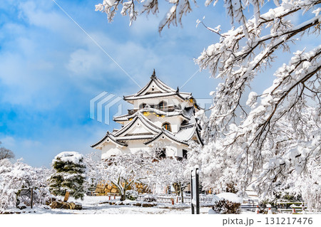滋賀 彦根城　雪化粧した天守 131217476
