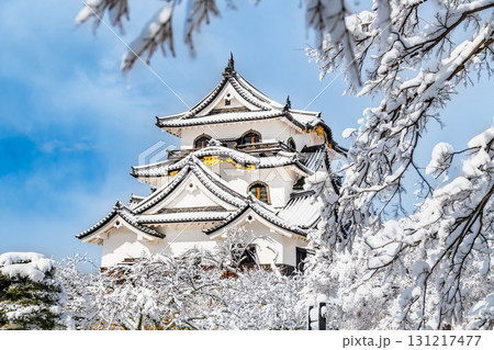 滋賀 彦根城 雪化粧した天守 滋賀 彦根城 雪化粧した天守 131217477