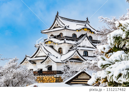 滋賀 彦根城 雪化粧した天守 滋賀 彦根城 雪化粧した天守 131217482