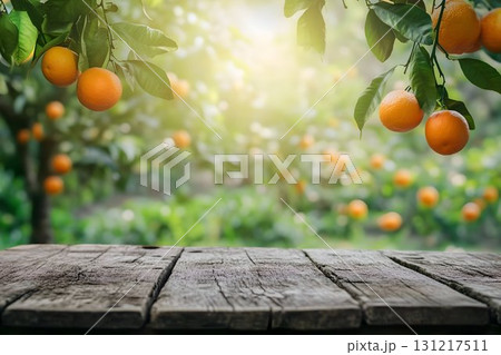 empty wooden, blurred background garden in the morning, summer 131217511