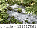 自然豊かな場所で流れる清流 131217561