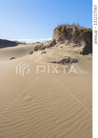 夏の鳥取砂丘の風景 鳥取県 鳥取砂丘 131217567