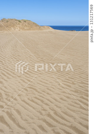 夏の鳥取砂丘の風景 鳥取県 鳥取砂丘 131217569