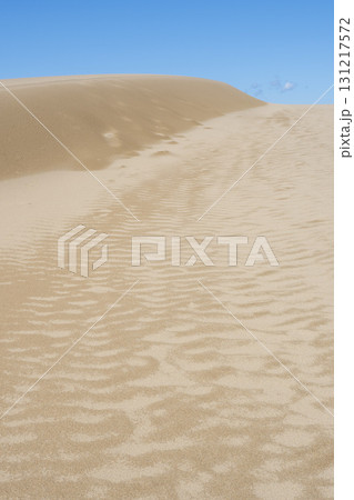 夏の鳥取砂丘の風景 鳥取県 鳥取砂丘 夏の鳥取砂丘の風景 鳥取県 鳥取砂丘 131217572