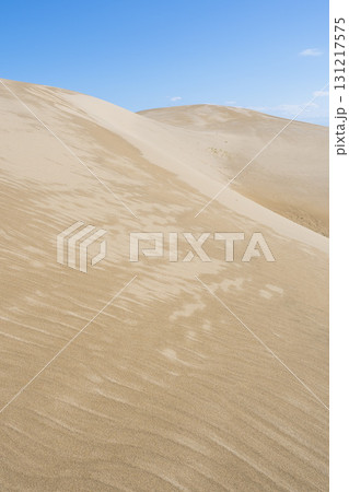 夏の鳥取砂丘の風景 鳥取県 鳥取砂丘 131217575
