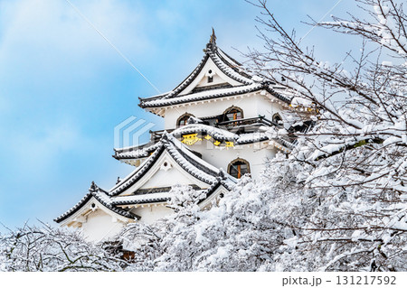 滋賀 彦根城　雪化粧した天守 131217592