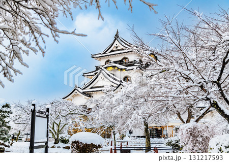 滋賀 彦根城 雪化粧した天守 滋賀 彦根城 雪化粧した天守 131217593