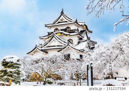 滋賀 彦根城 雪化粧した天守 滋賀 彦根城 雪化粧した天守 131217594