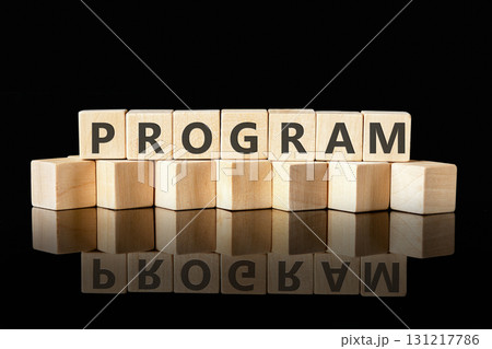 The concept word PROGRAM is collected of wooden cubes on a glossy black background. Loyalty Program Shopping concept 131217786