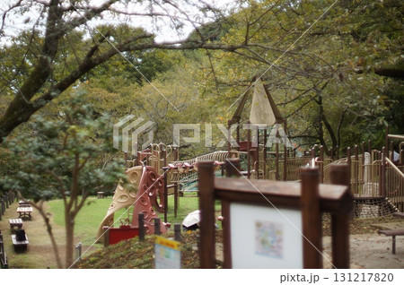 森の中の公園の遊具 131217820