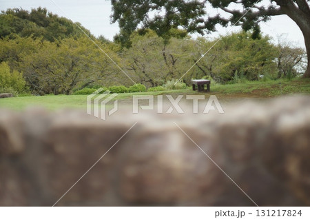 山頂の景色 131217824