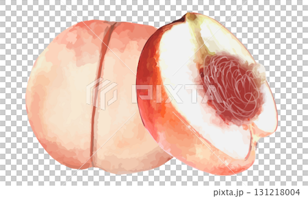 水彩畫桃子（整個和半個） 131218004