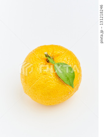 白背景のゆず　柚子の実一つ 131218246