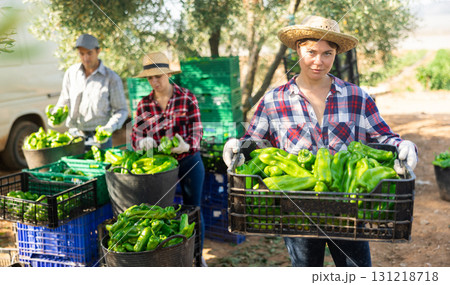 Portrait of woman agriculturist with crate of pepper 131218718