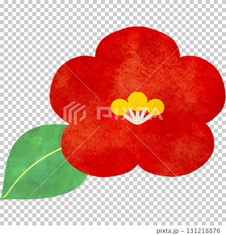 Watercolor illustration of camellia flowers Watercolor illustration of camellia flowers 131218876