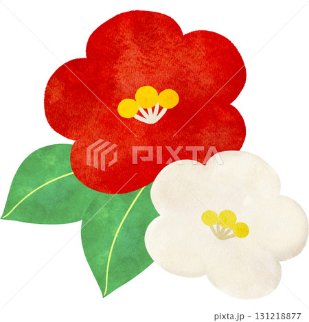 水彩風に描いた椿の花のイラスト 水彩風に描いた椿の花のイラスト 131218877
