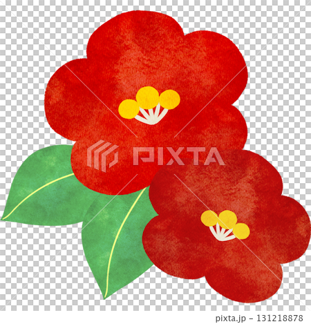 Watercolor illustration of camellia flowers Watercolor illustration of camellia flowers 131218878