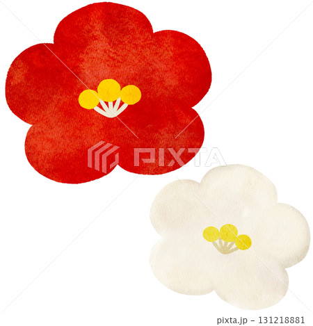 水彩風に描いた椿の花のイラスト 水彩風に描いた椿の花のイラスト 131218881