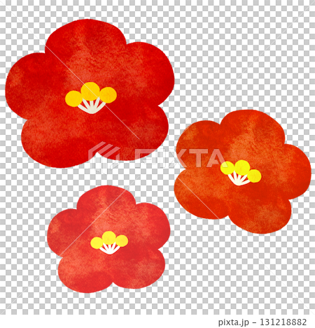 Watercolor illustration of camellia flowers Watercolor illustration of camellia flowers 131218882