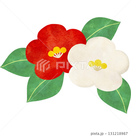 水彩風に描いた椿の花のイラスト 131218987