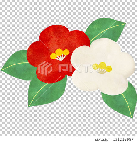 水彩風に描いた椿の花のイラスト 131218987
