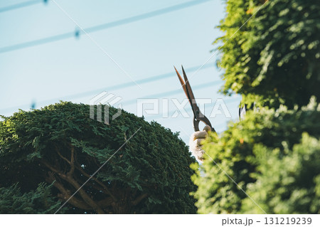 Japanese Gardener 131219239