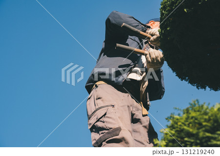 Japanese Gardener 131219240