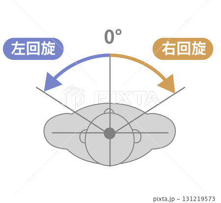 頸部、首の可動域 ROMイラスト 頸部、首の可動域 ROMイラスト 131219573