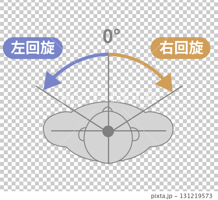 頸部、首の可動域 ROMイラスト 頸部、首の可動域 ROMイラスト 131219573