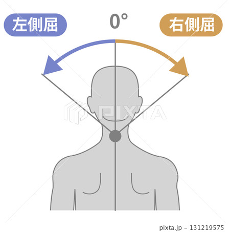頸部、首の可動域　ROMイラスト 131219575