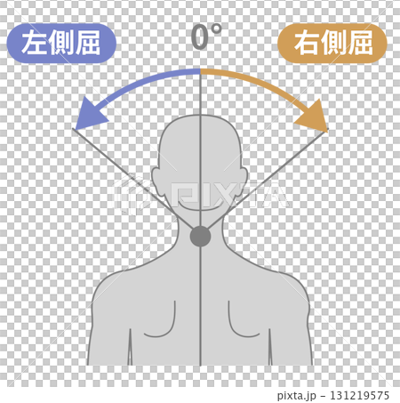 Neck and neck range of motion ROM illustration Neck and neck range of motion ROM illustration 131219575